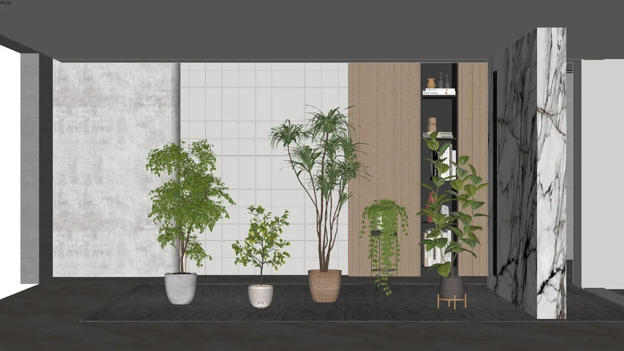 Interior Plant 11