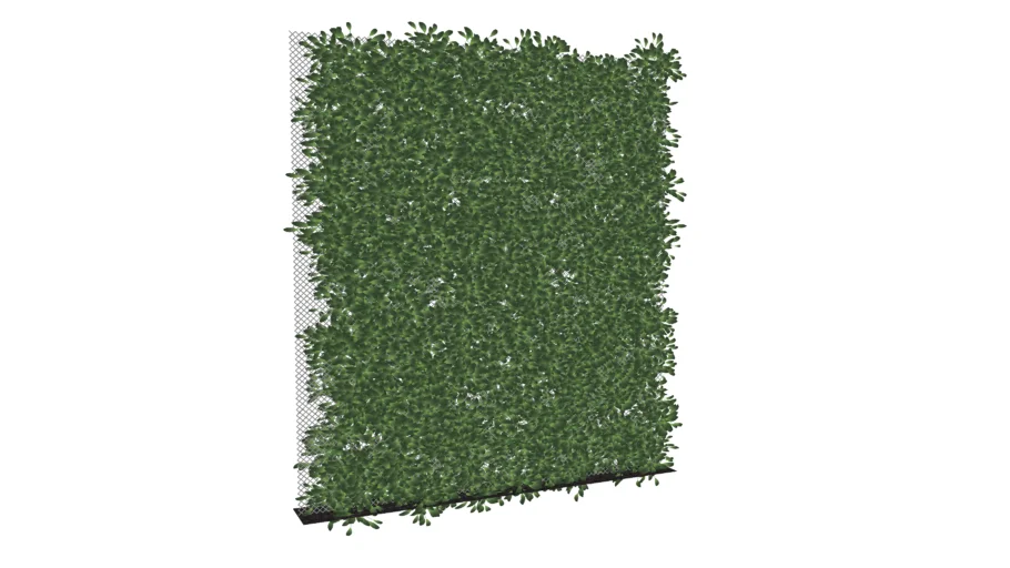 Green wall