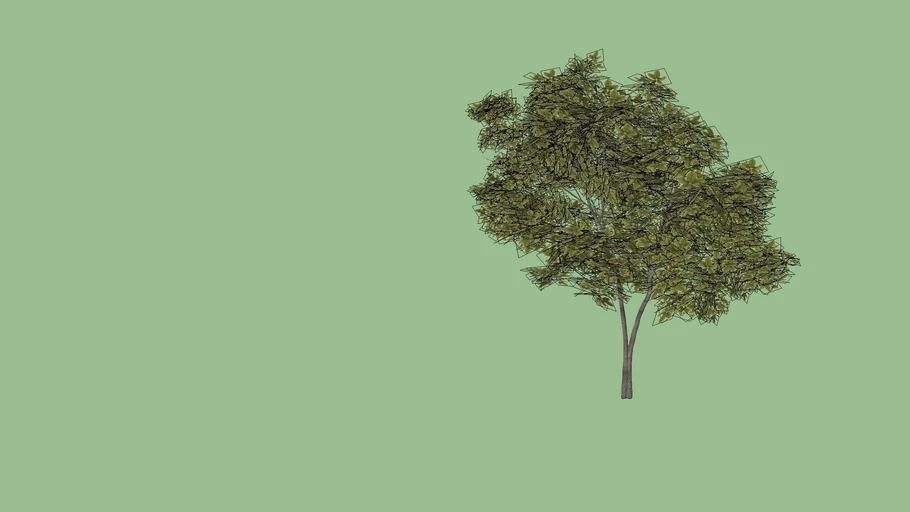 Pohon4