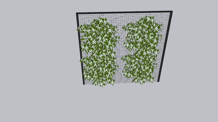 Wire mesh trellis with jasmine vine
