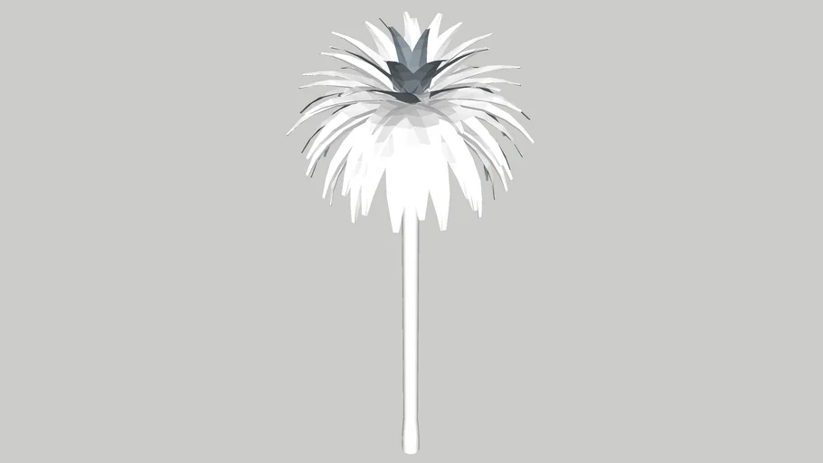 palm