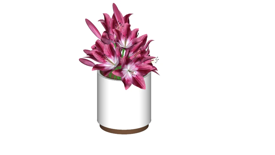Vaso flor