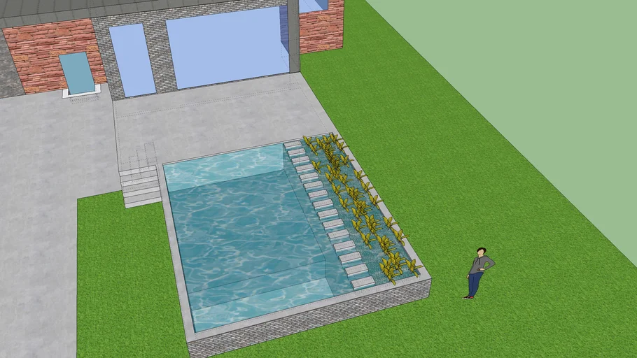 koi pond