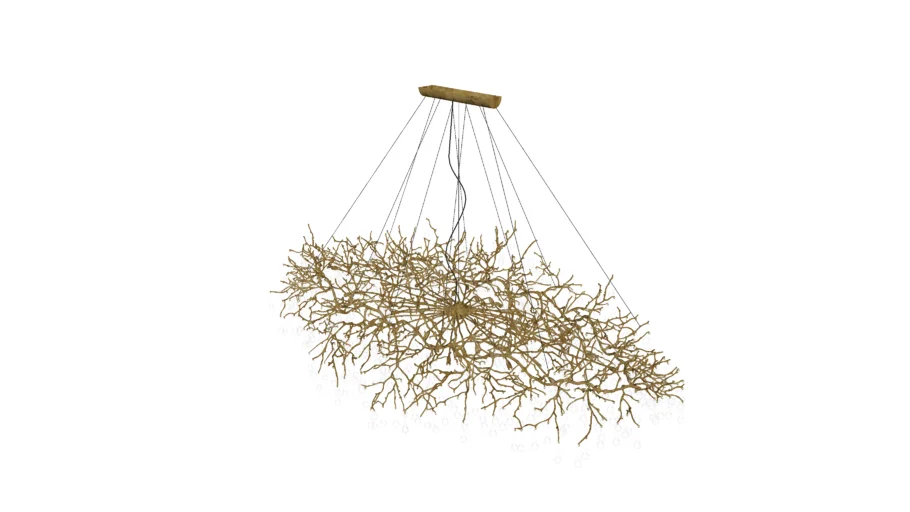 Branch Light