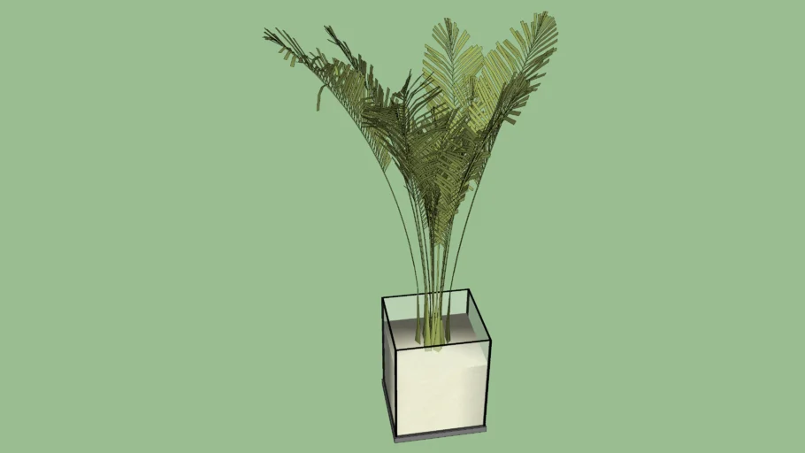 PLANTA PARA JARDIM