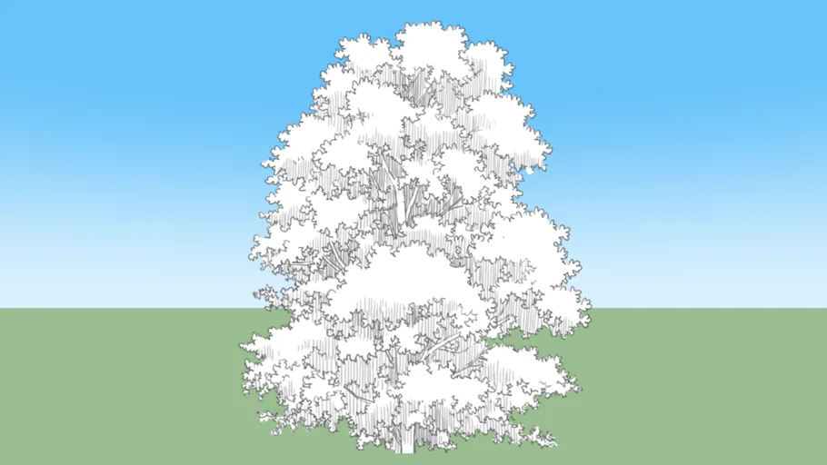 tree04L1f-c