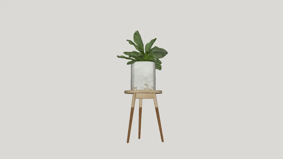 vaso