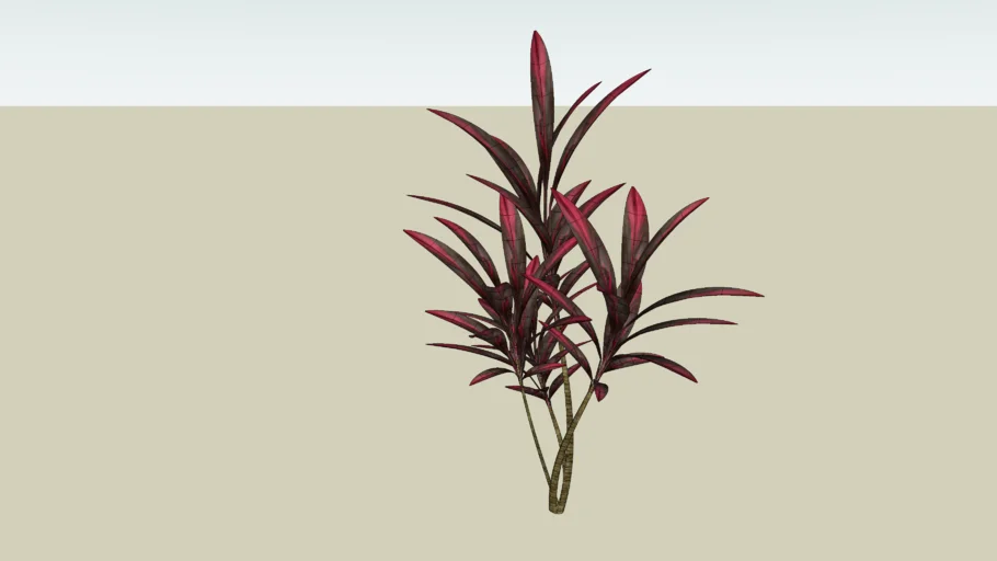 DRACENA VERMELHA