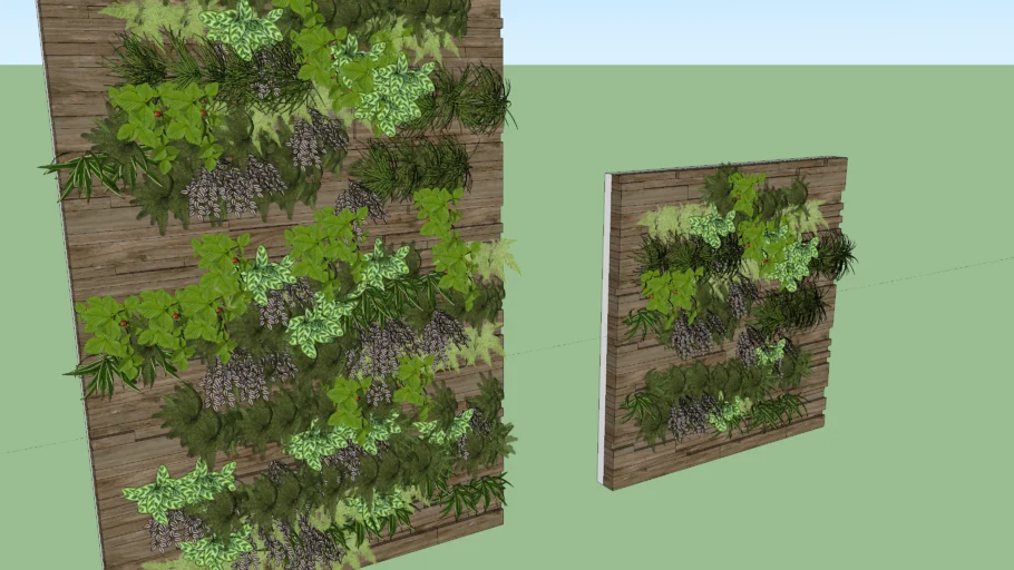 WALL PLANT