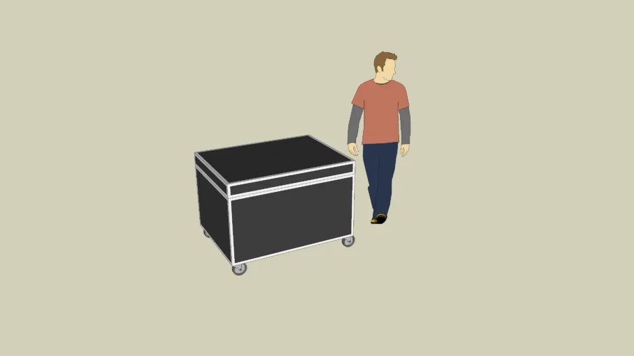 Large Flight Case