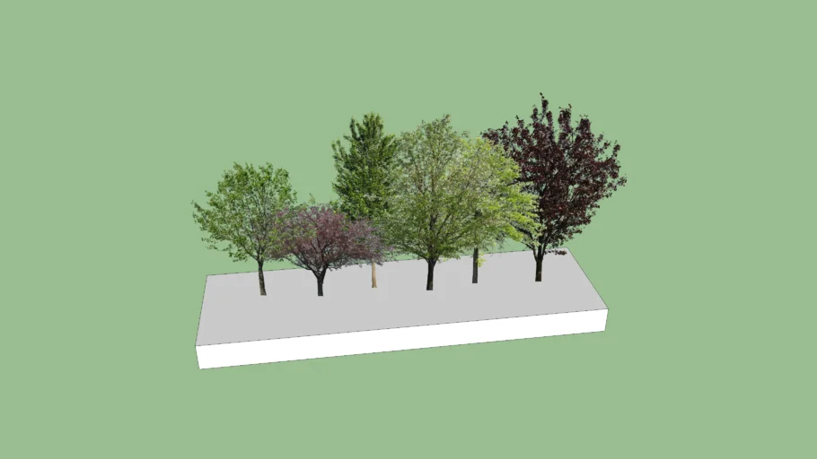 ARBOLES 3D