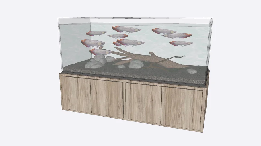 紅龍 風水魚缸 fish tank