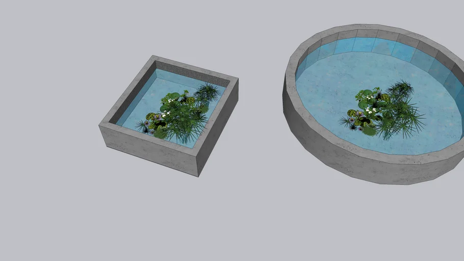 FISH POND