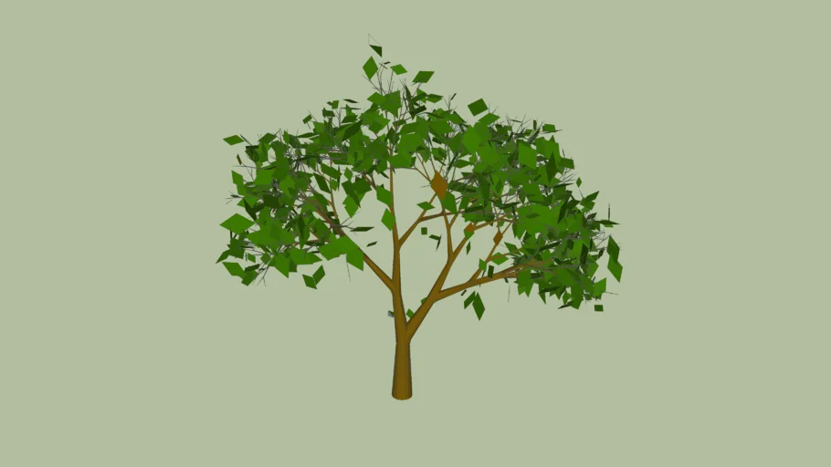 arbol