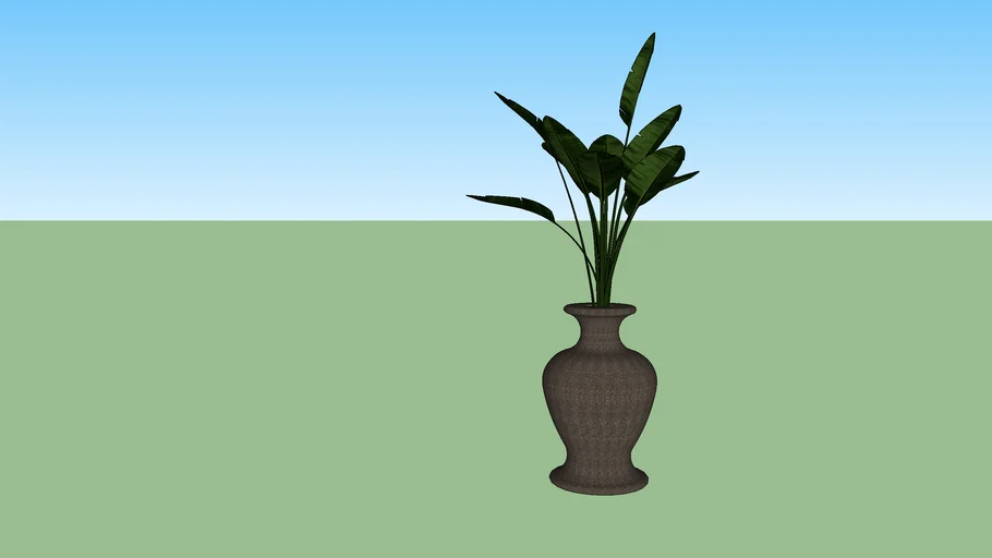 plant house
