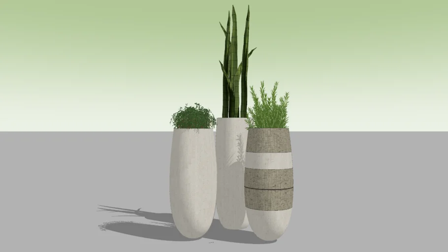 Indoor Plant（07）