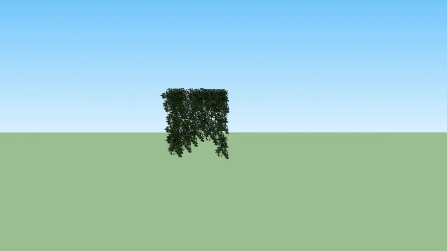 bushes