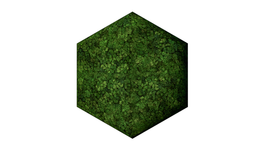 Convex Hexagon Large