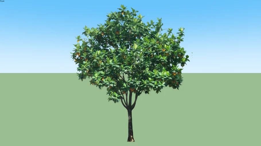 ARBOL 3D