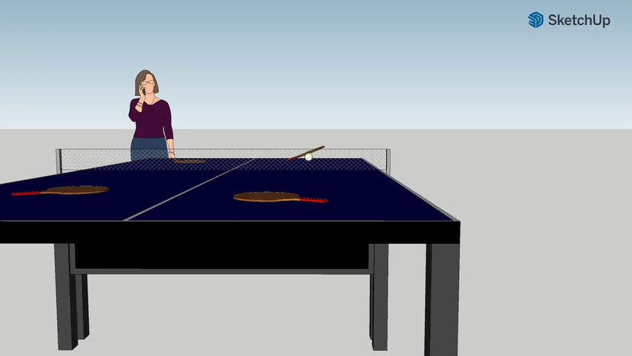 Ping Pong Table