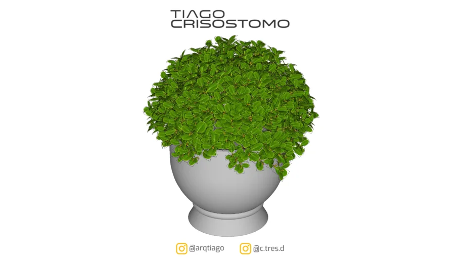 Vaso de Planta
