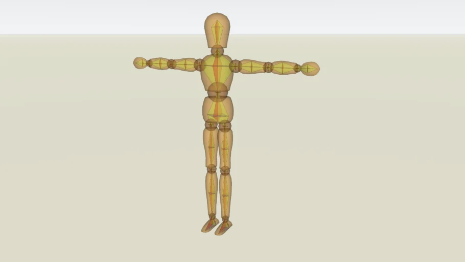 Human Wood Model