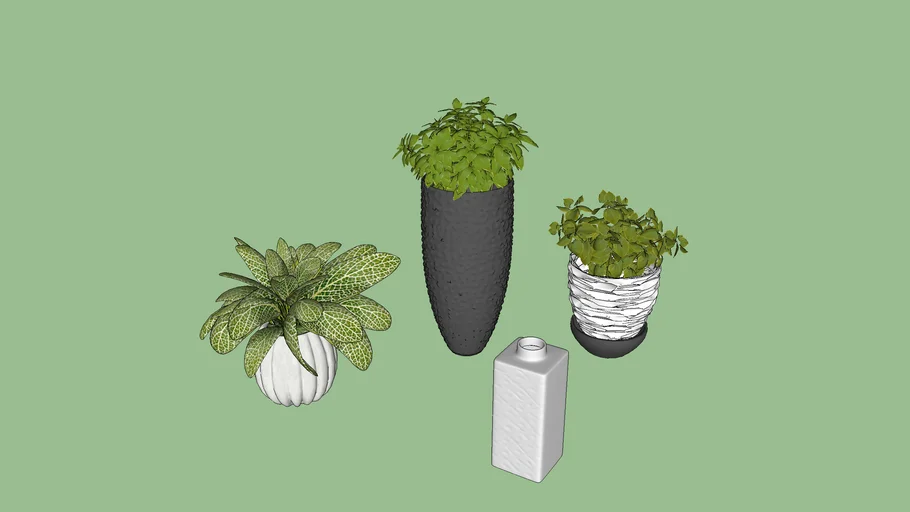 Planta, Vaso, decoração 7
