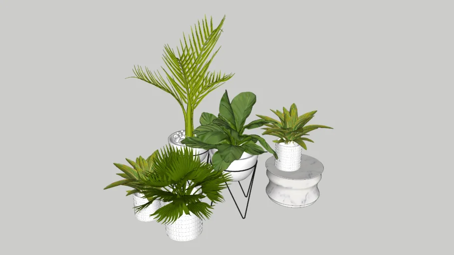 Plants