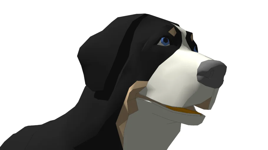 Perro