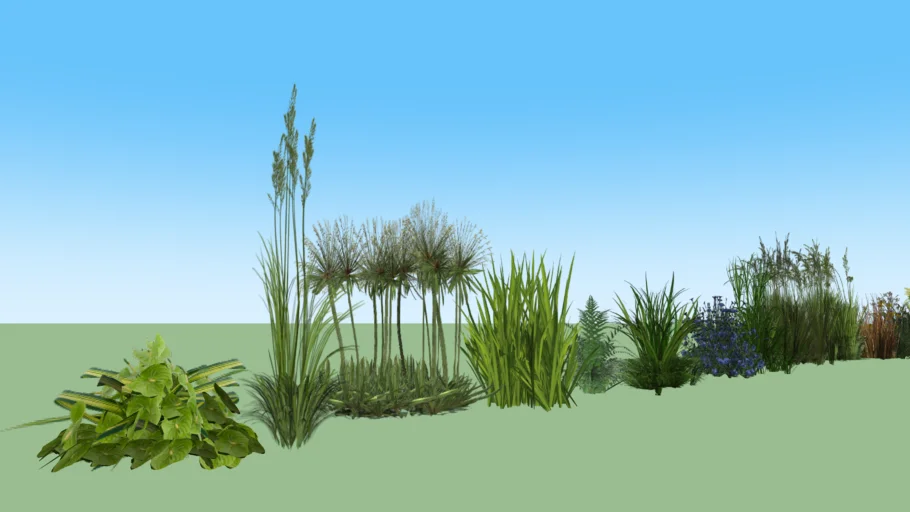 vegetation