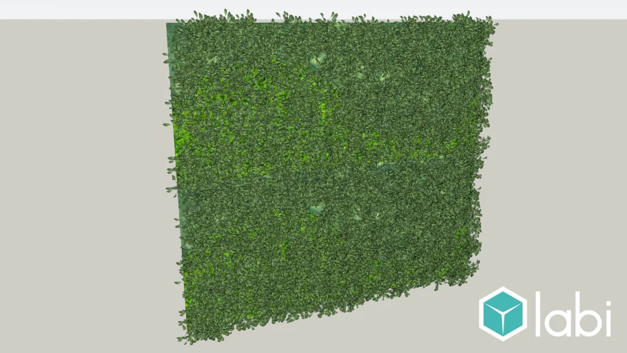Parede verde de vegetação