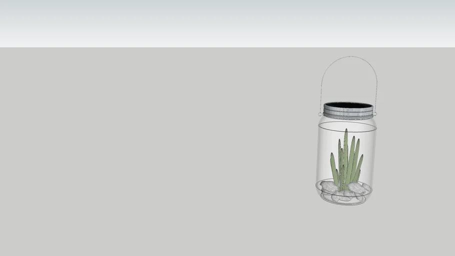 Solar Light in jar with cactus