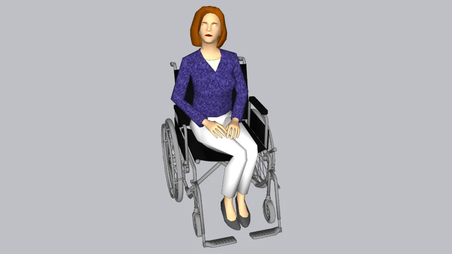 Persona en silla de ruedas