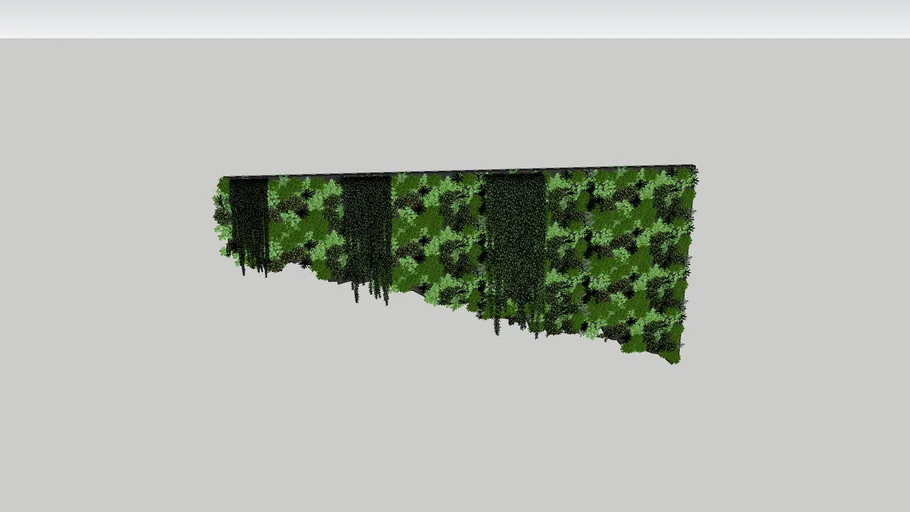 Plant Wall