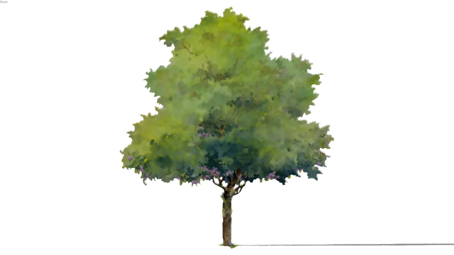 2D Painted Tree