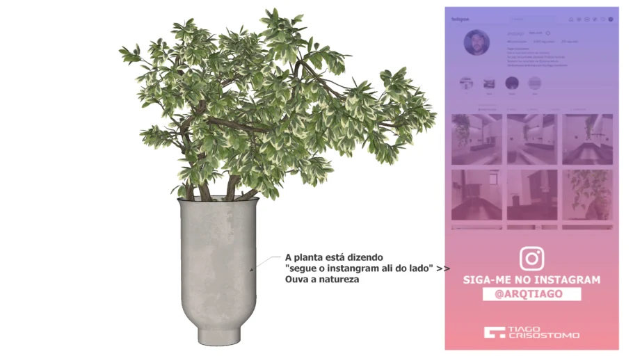 Vaso de Planta