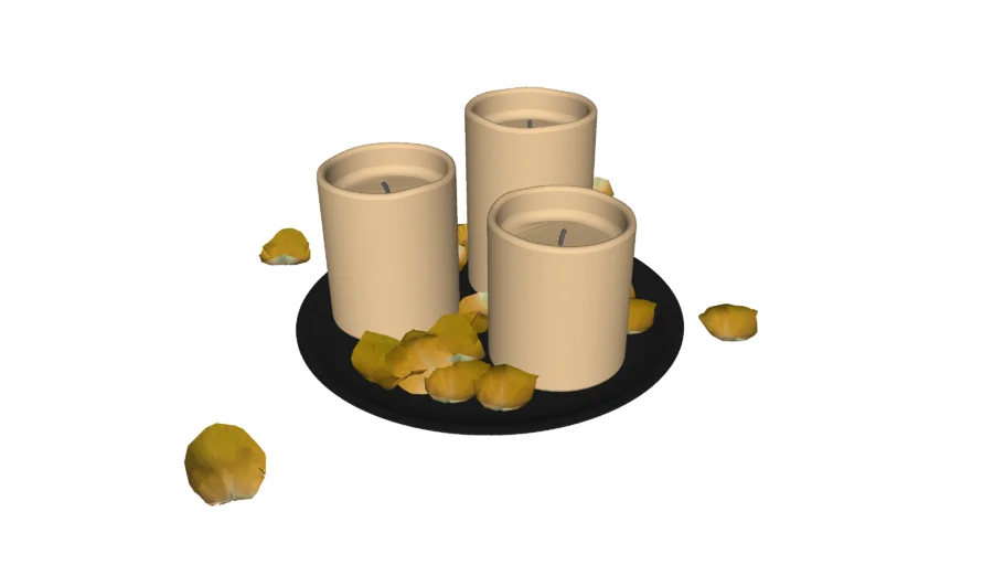 Vray_candles and roses