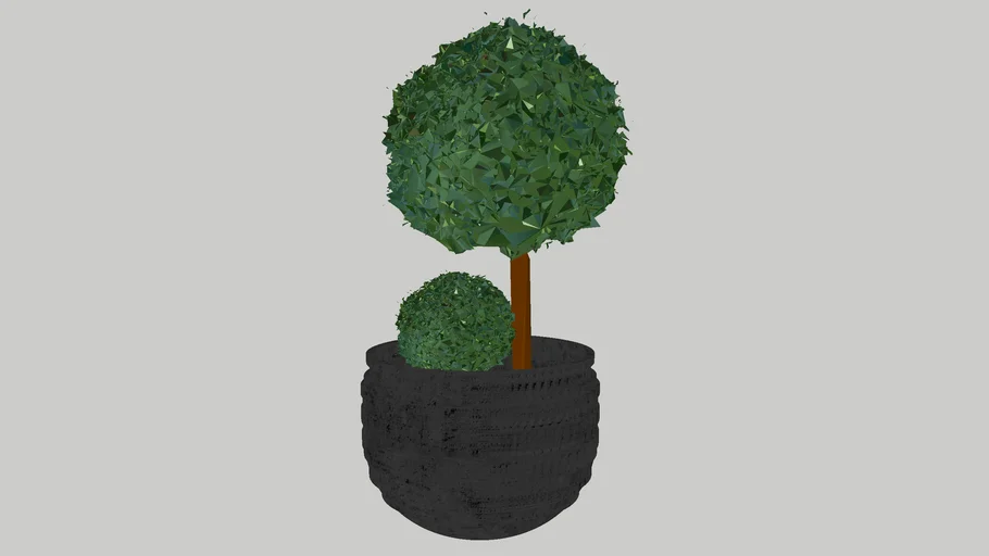 POT PLANT