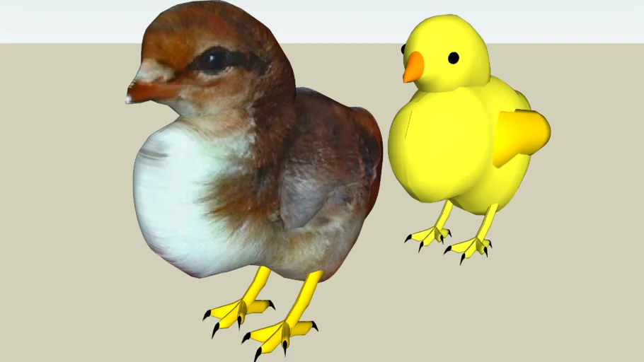 Chick