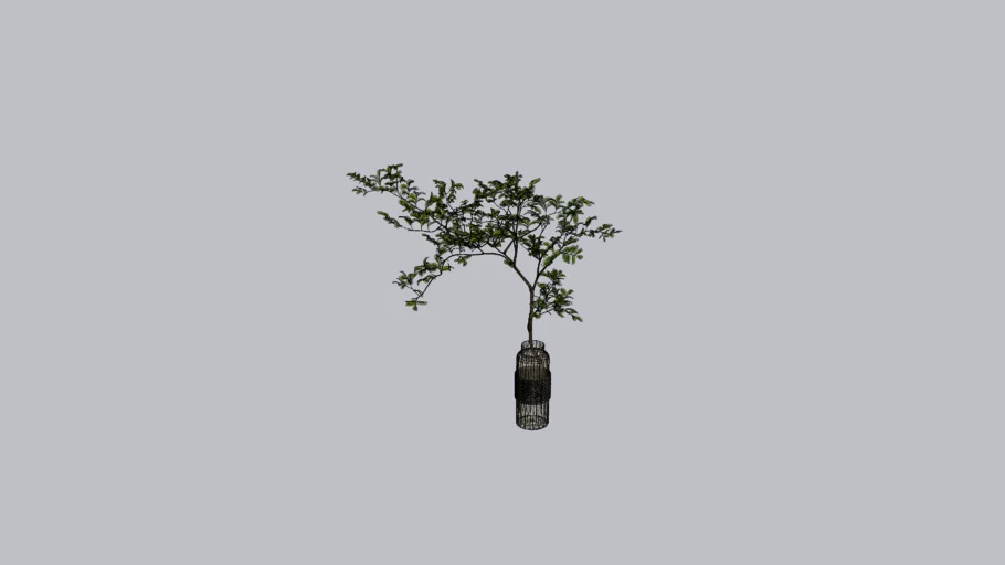 Decor Vase