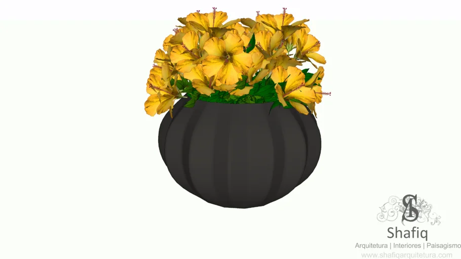 Vaso de Hibiscus amarelos