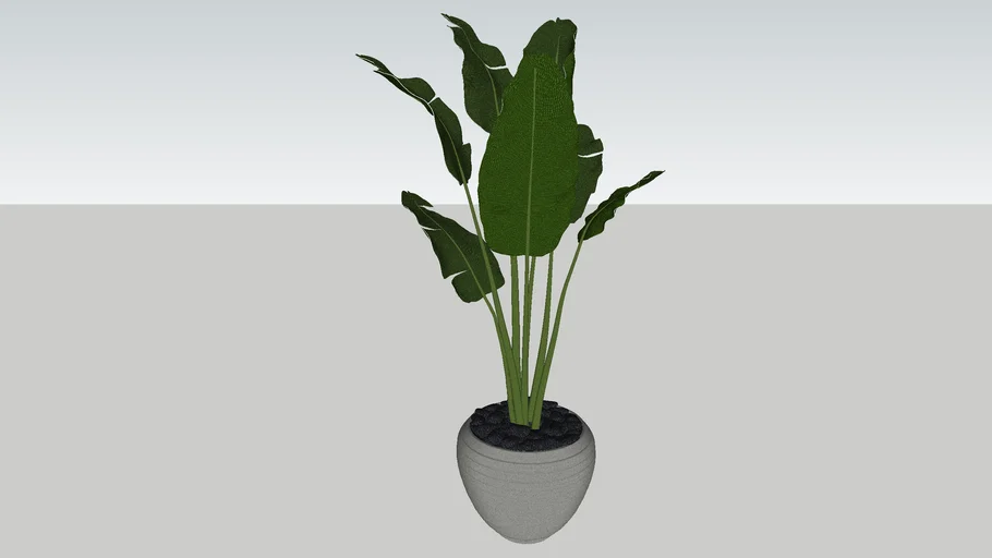 PLANT 3