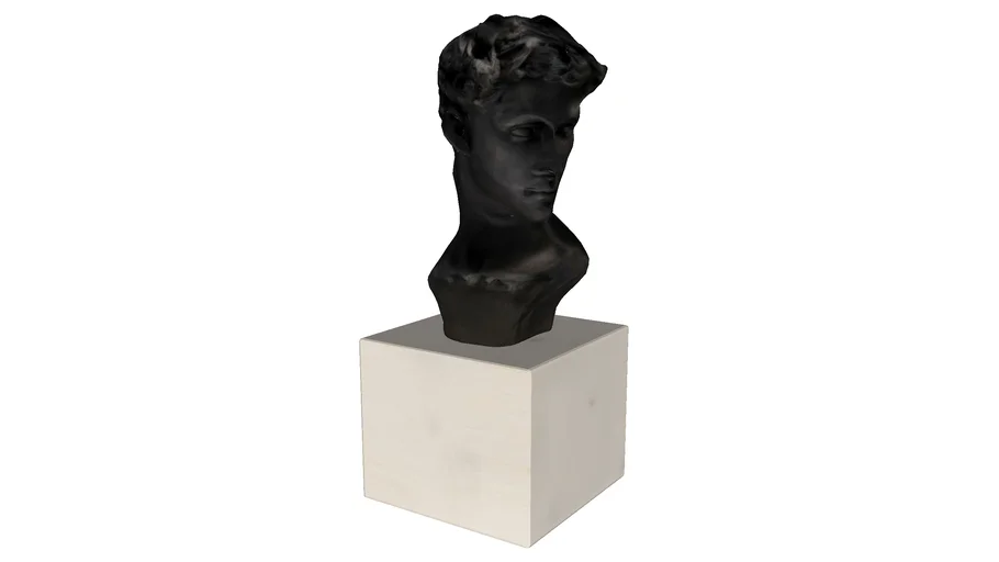 54042 Deco Object Busto Wise Man 22cm