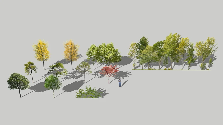 tree