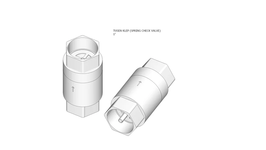 PVC Tusen Klep (Spring Check Valve) 1"