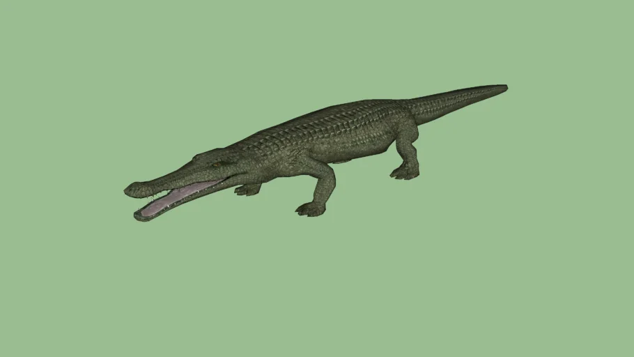 Sarcosuchus