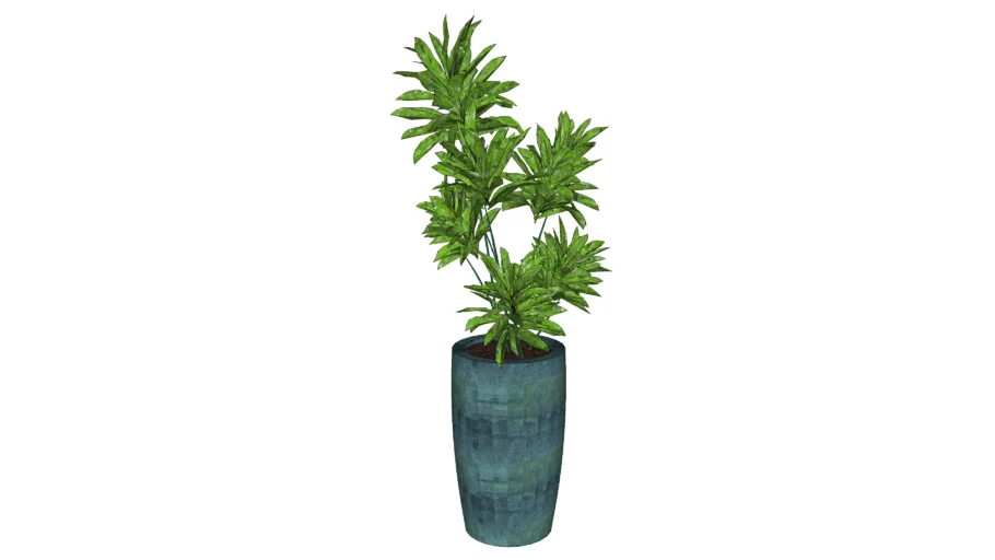 Vaso Vietnamita