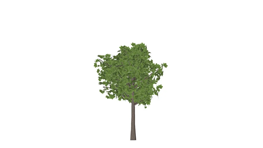 Fabricated Sugar Maple Tree - 3D
