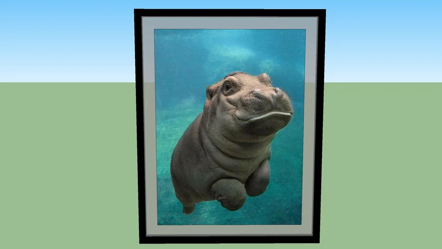 Quadro Hipopótamo FIlhote