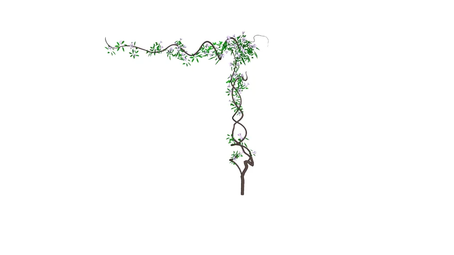 Climbing Plant 2